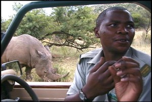 Close Encounters at Pilanesburg National Park!